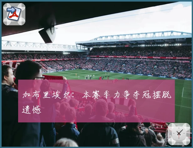 加布里埃尔:本赛季力争夺冠摆脱遗憾