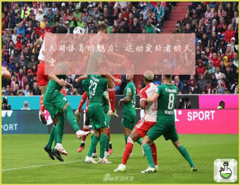 久游体育的魅力:运动爱好者的天堂